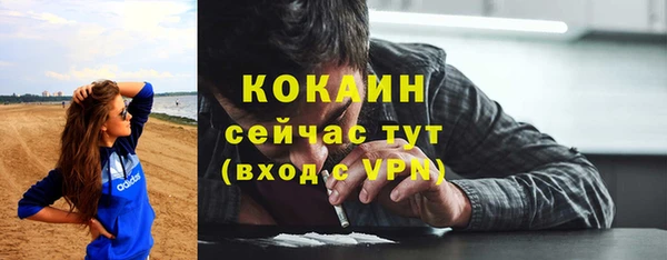 тгк Алзамай