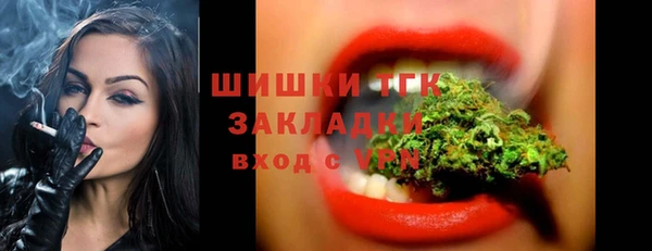 тгк Алзамай
