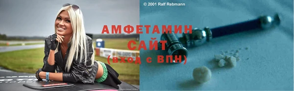 СК Алексин