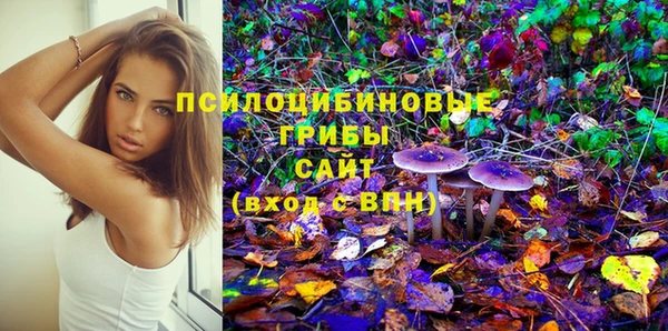 гашик Абдулино