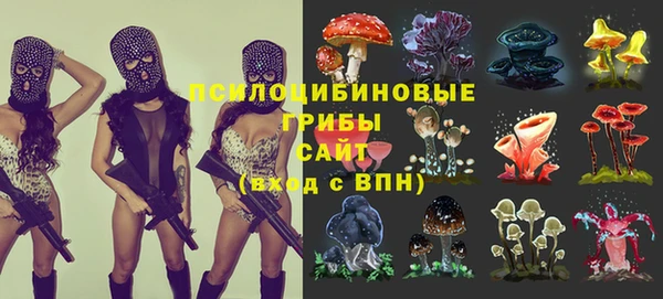 тгк Алзамай