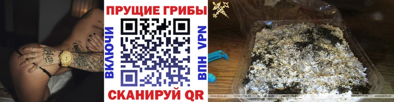 Псилоцибиновые грибы Magic Shrooms  купить наркотик  Брянск 