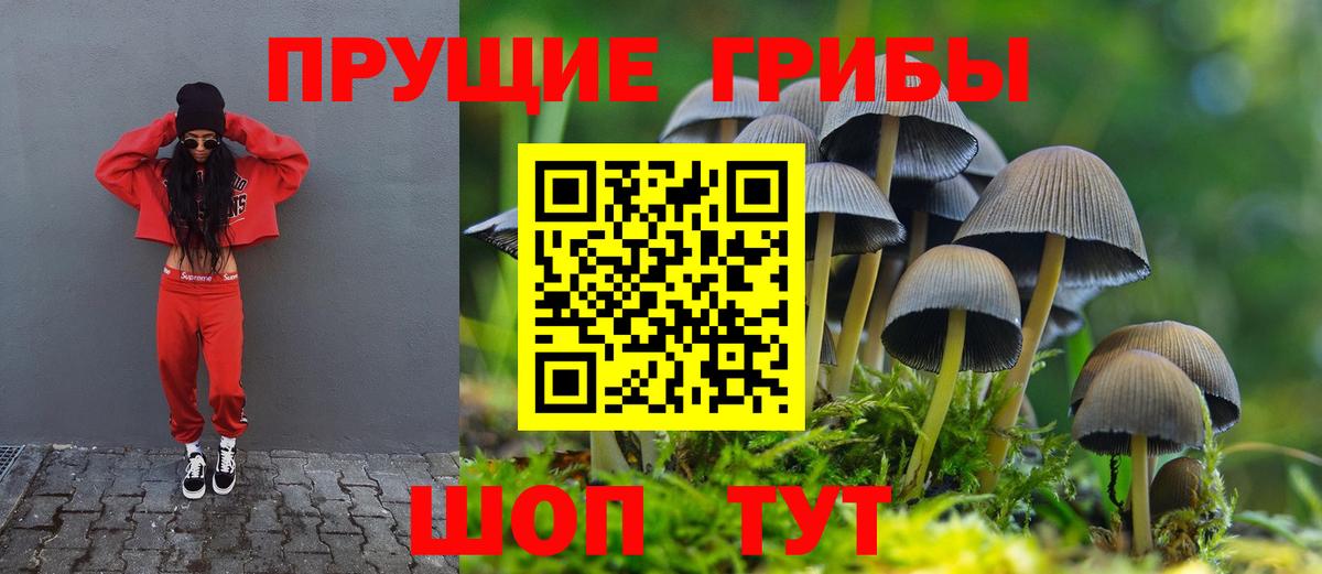 Псилоцибиновые грибы GOLDEN TEACHER  Вход с VPN  Брянск 