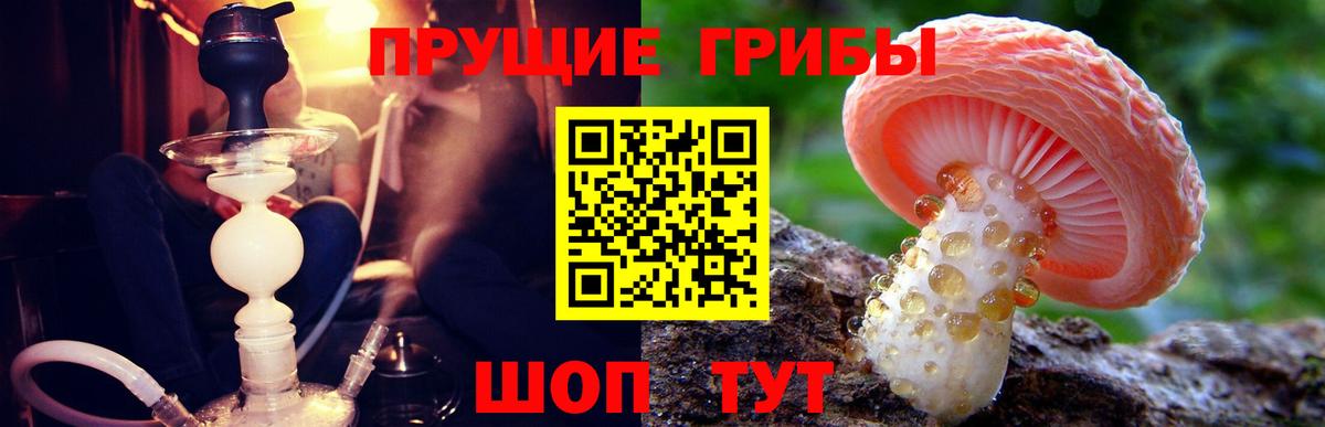Галлюциногенные грибы Cubensis Брянск